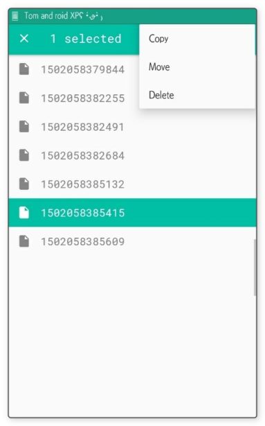 camera-roll-gallery-file-manager