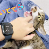 Apple Watch Series7 ドコモ版を開封＜人生初＞