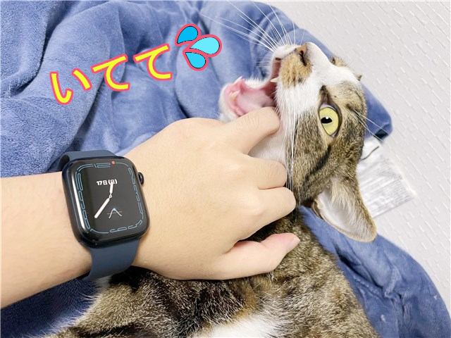 Apple Watch Series7 を装着！
