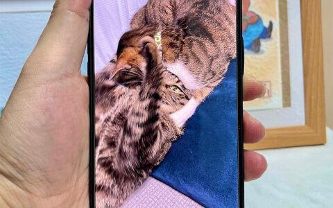 SYANTO Ring ほぼ間違いなく世界一軽いスマホリング
